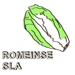 Rosbief met Romeinse sla