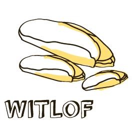 Zoete witlof