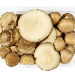 Heerlijke paddenstoelen soep