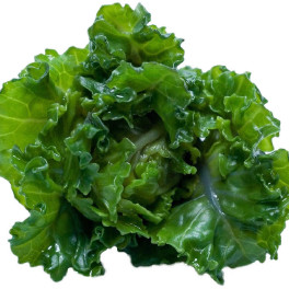 Flower sprouts met pasta en spekjes