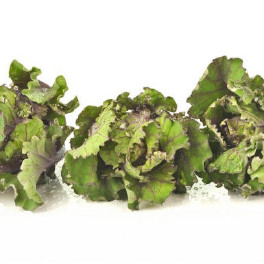 Flower sprouts op oosterse wijze